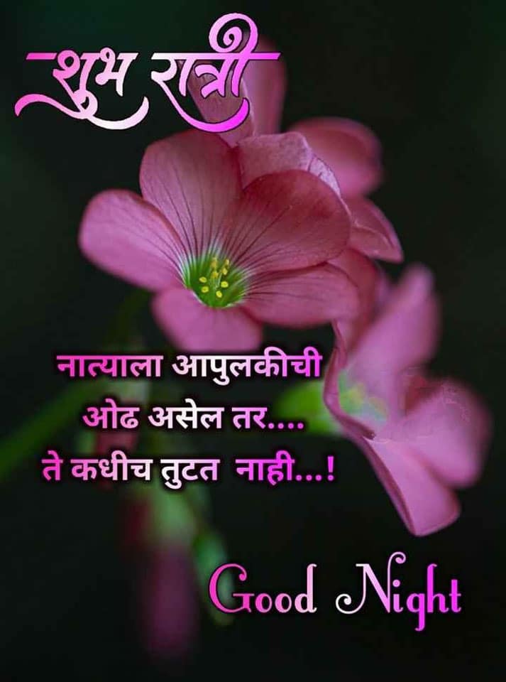 good-night-wishes-in-marathi-9