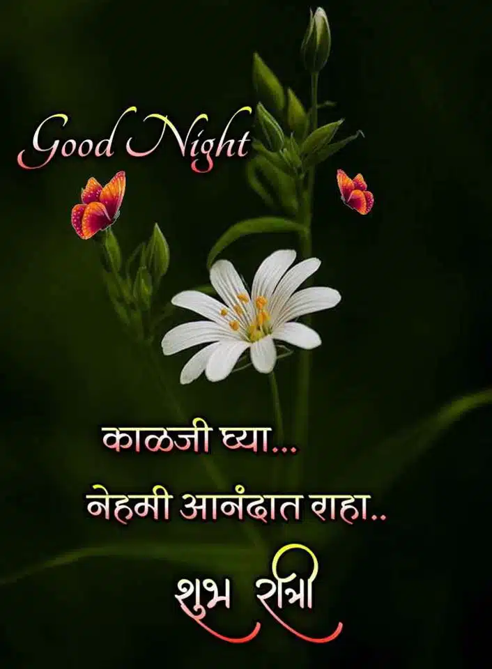 beautiful-good-night-images-in-marathi-86