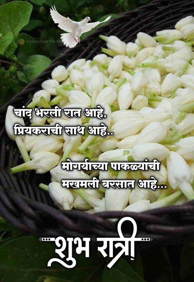 good-night-quotes-in-marathi-44