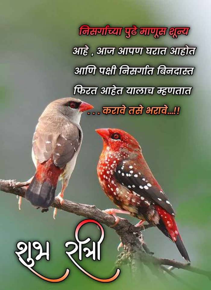 good-night-quotes-in-marathi-85