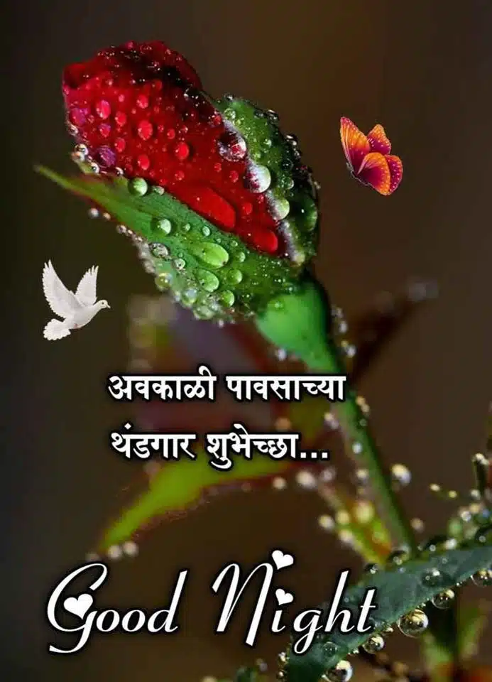 good-night-status-in-marathi-20