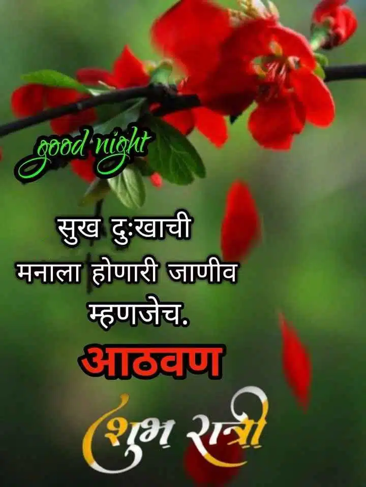 good-night-status-in-marathi-77