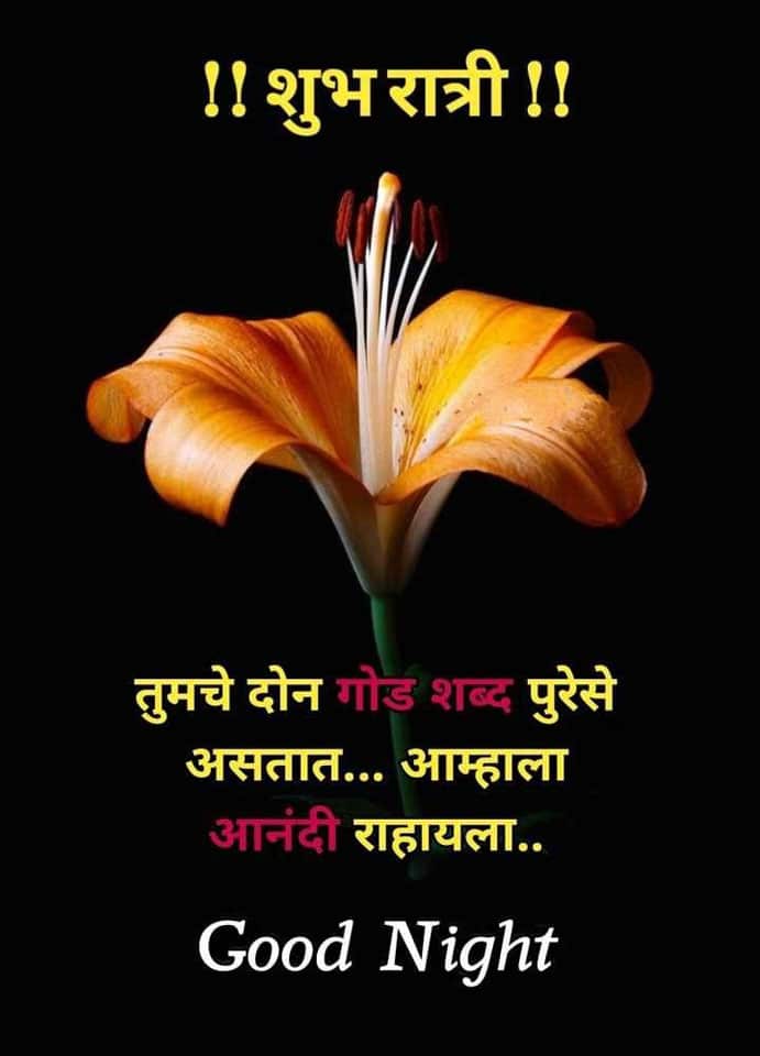 good-night-wishes-in-marathi-1