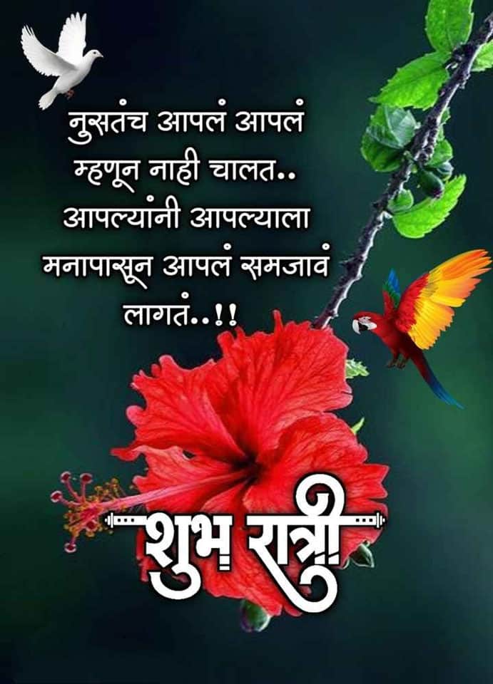 good-night-wishes-in-marathi-24