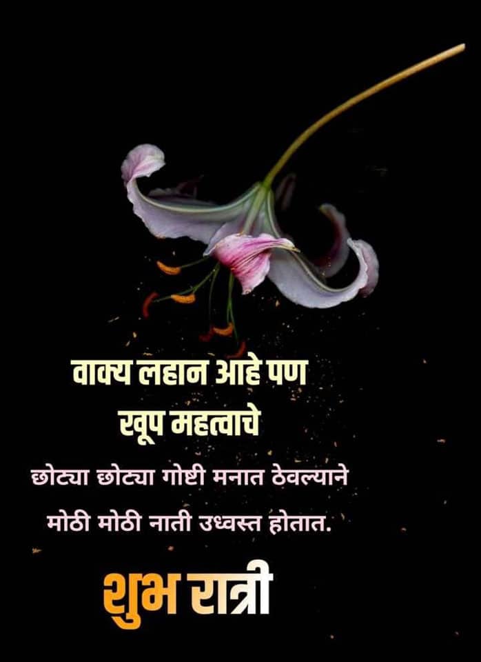 good-night-wishes-in-marathi-63