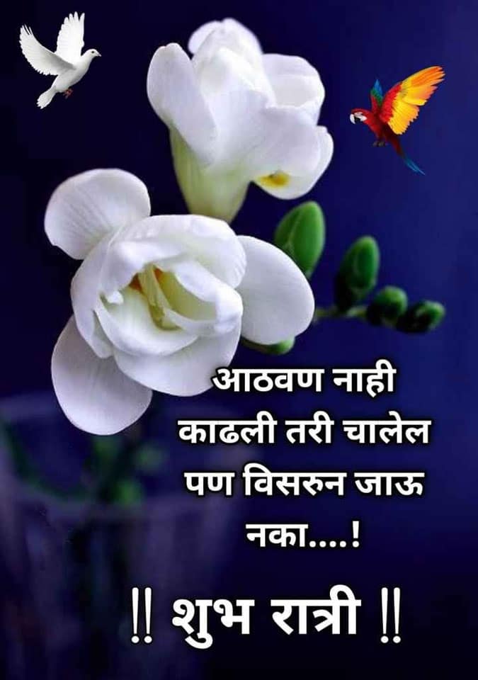 good-night-wishes-in-marathi-65