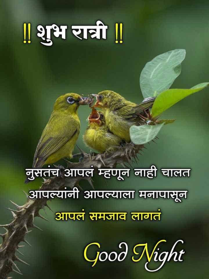 good-night-wishes-in-marathi-87