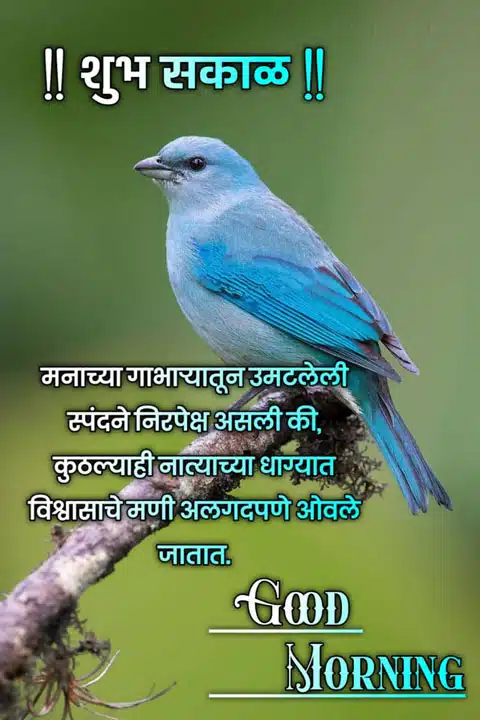 good-morning-shayari-in-marathi-5