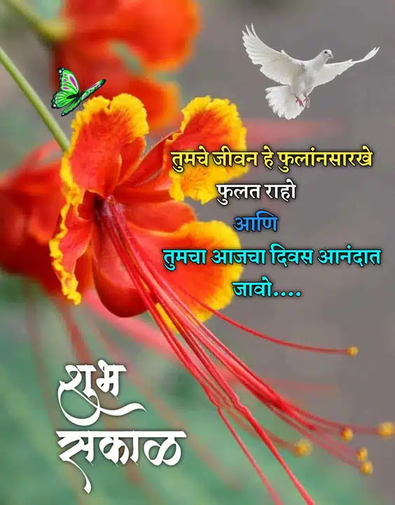 good-morning-status-in-marathi-73