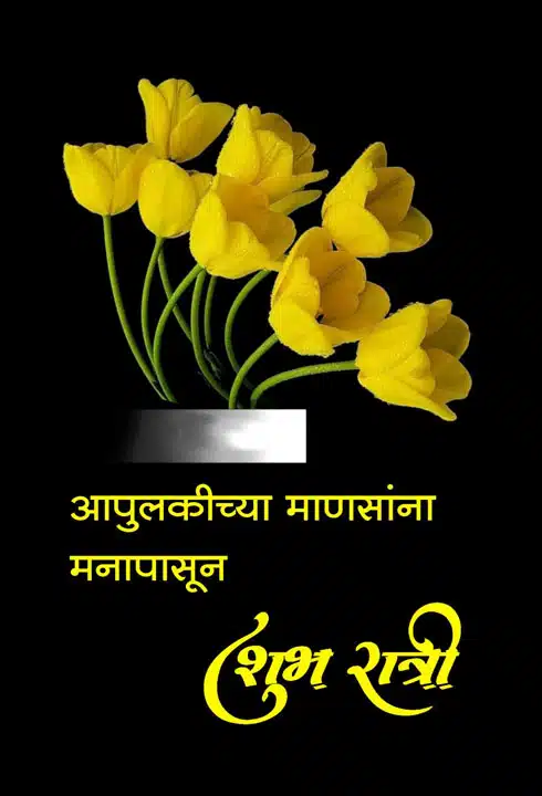 good-night-images-in-marathi-for-friends-29