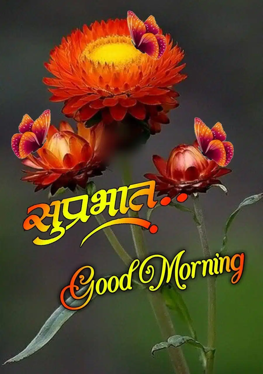 suprabhat flowers image