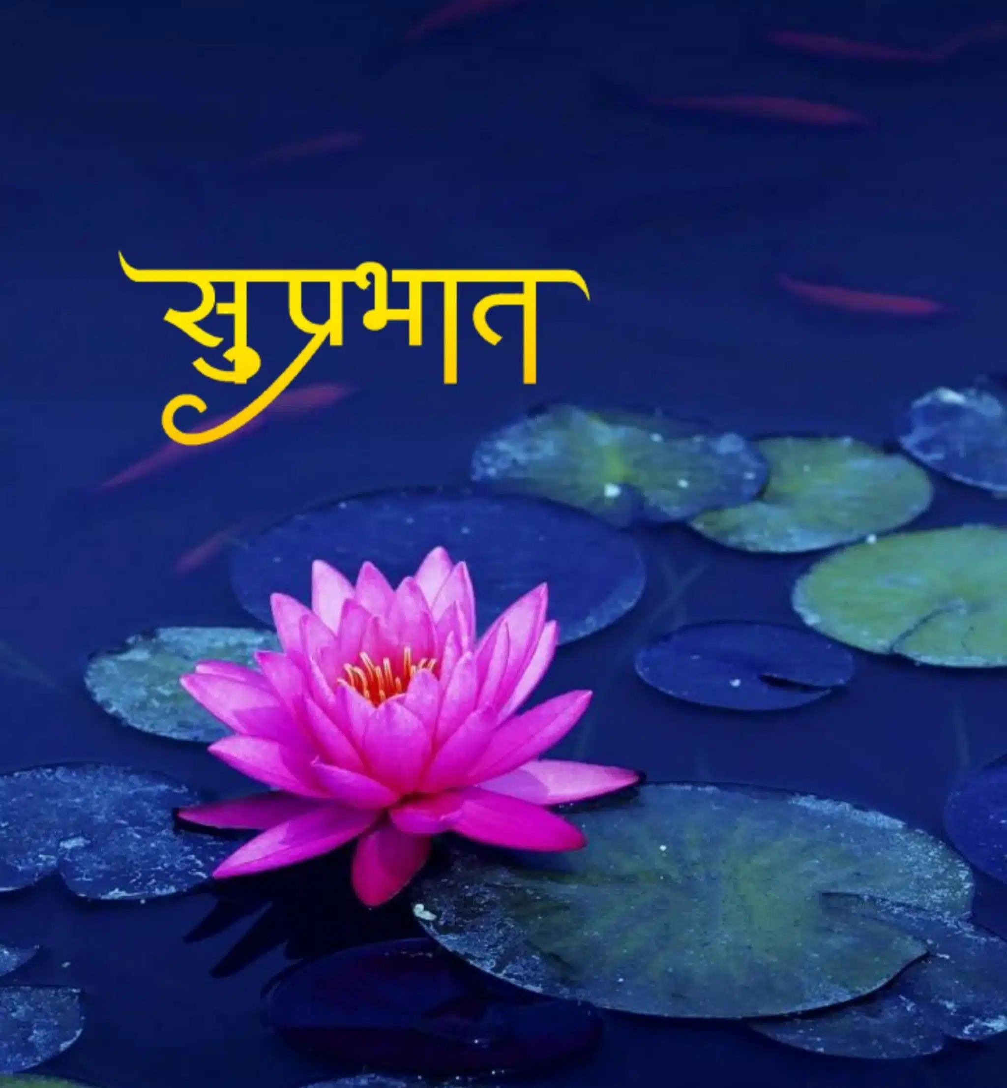 Shubh Prabhat Flower