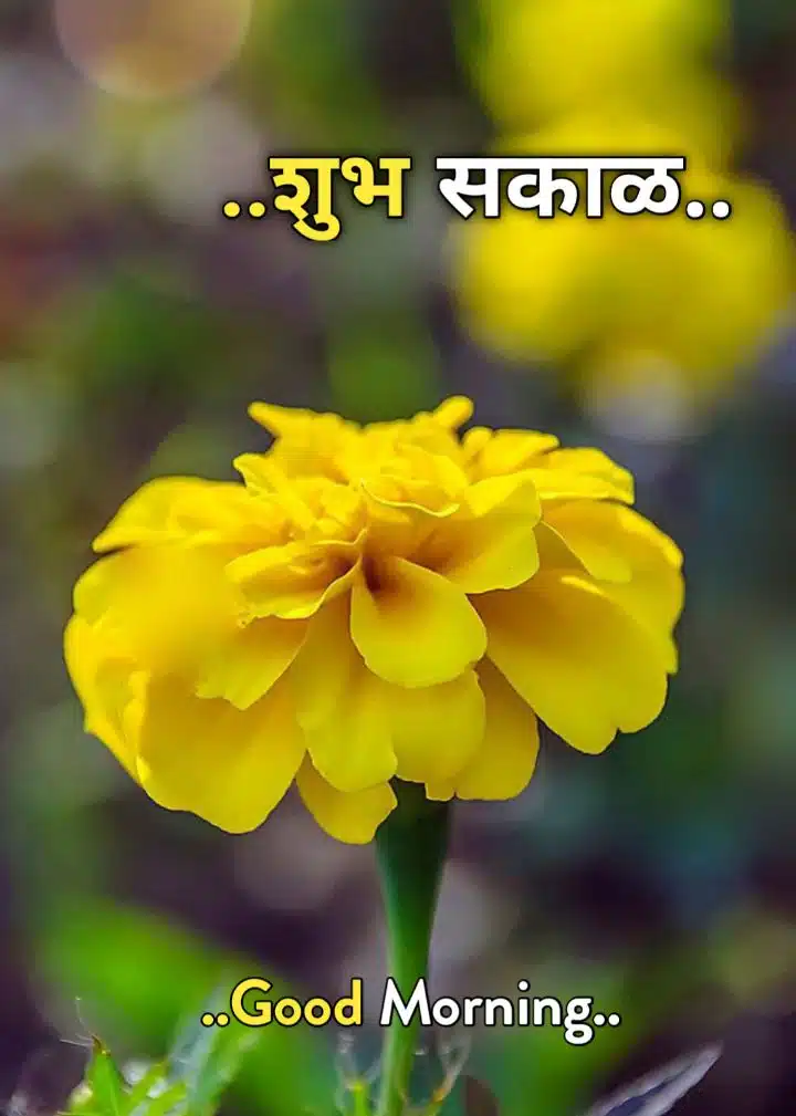 Shubh Sakal Flower Images