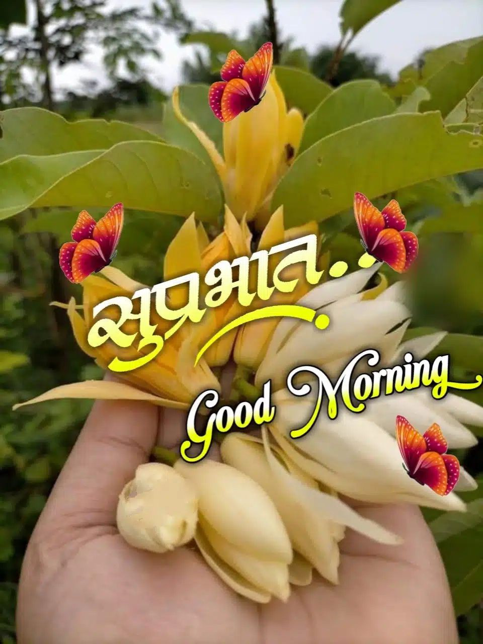 Good Morning Shubh Sakal Flower Images