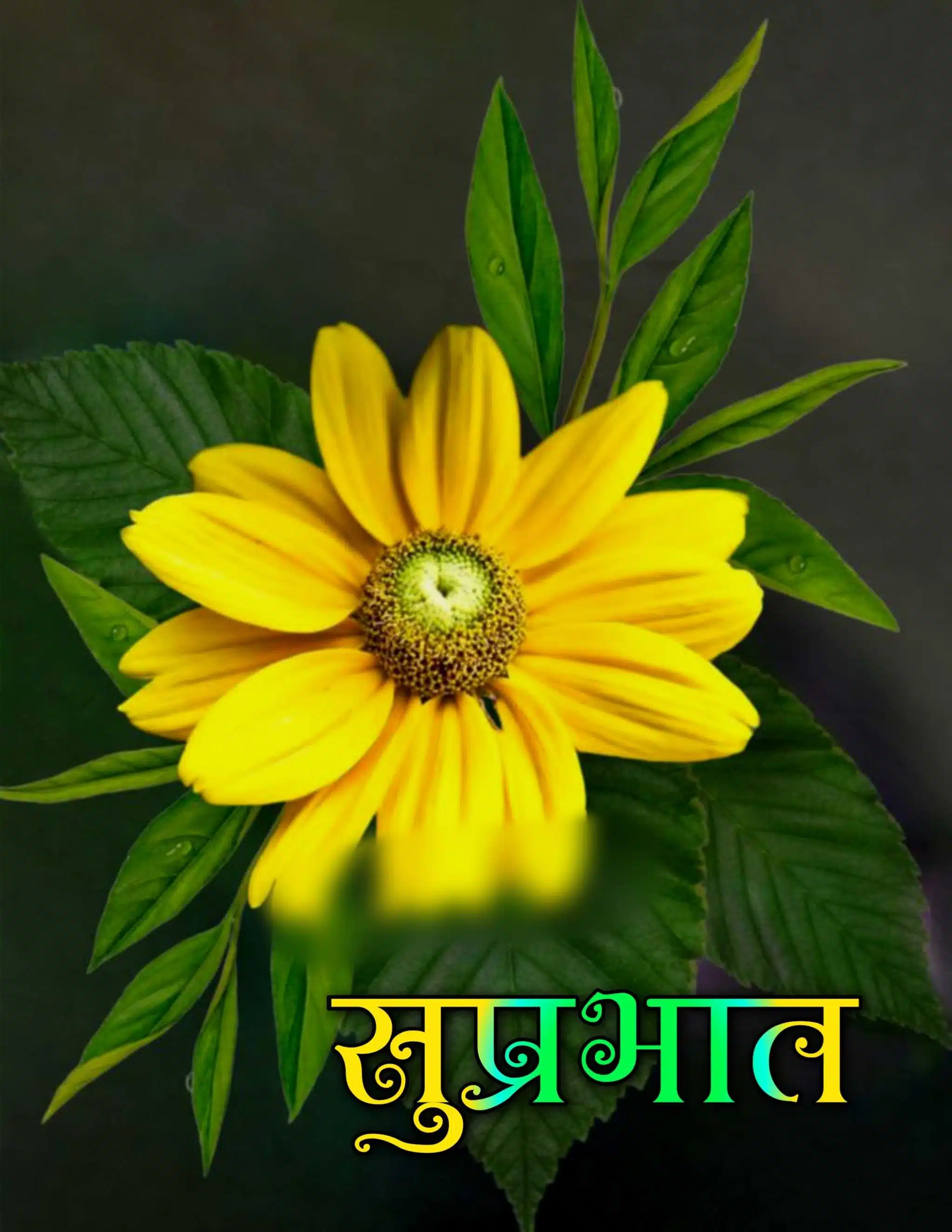 suprabhat flowers images