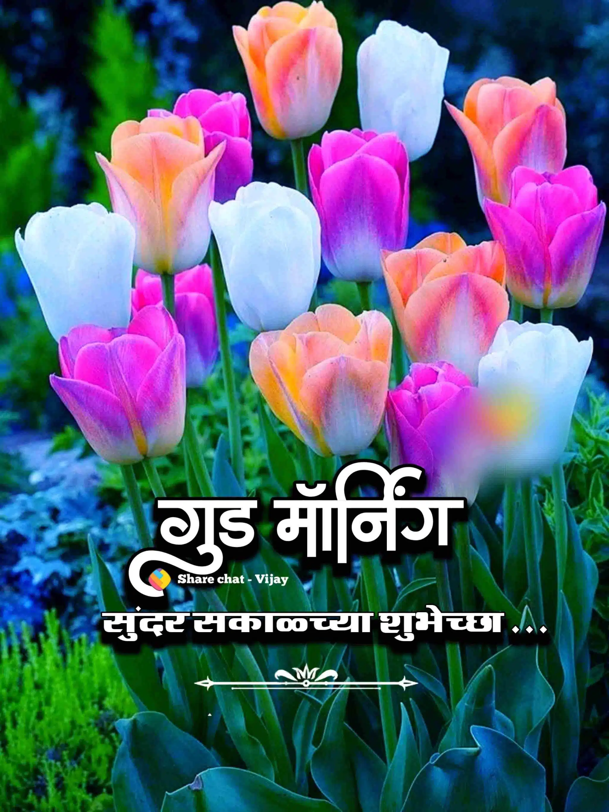 Good Morning Flowers Marathi