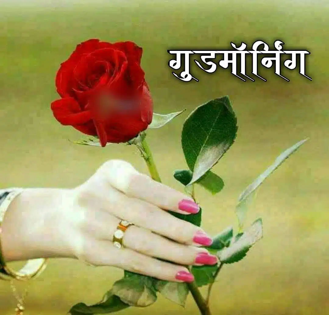 Good Morning Flowers Images In Marathi