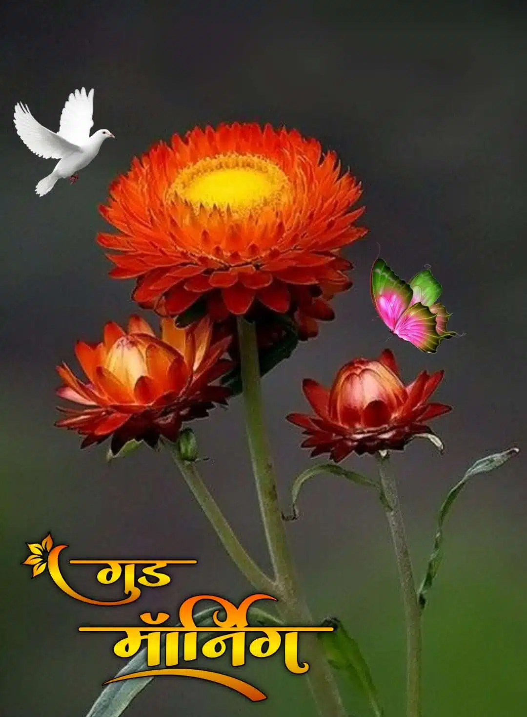 Good Morning Flowers Images In Marathi