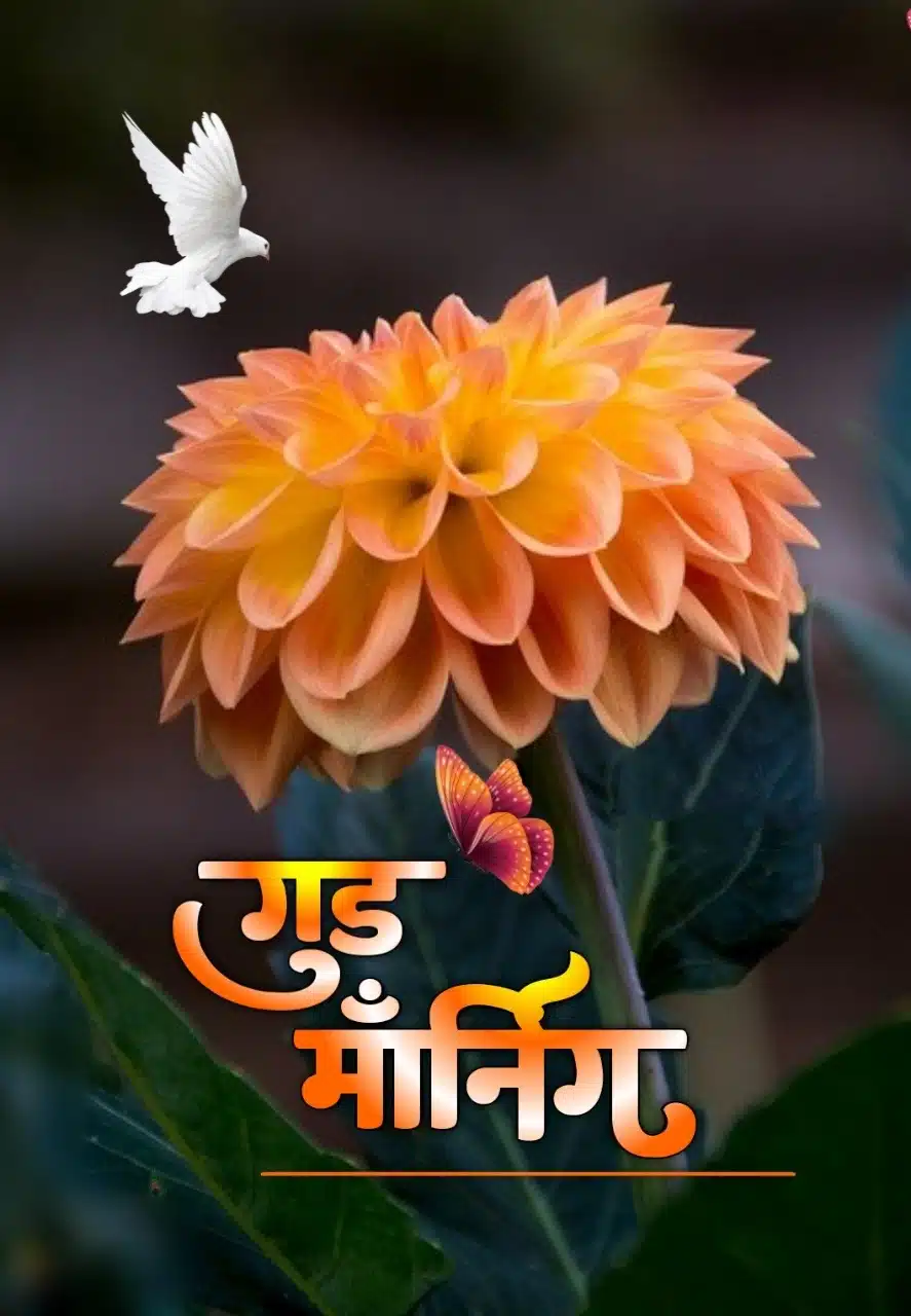 Good Morning Flowers Images In Marathi