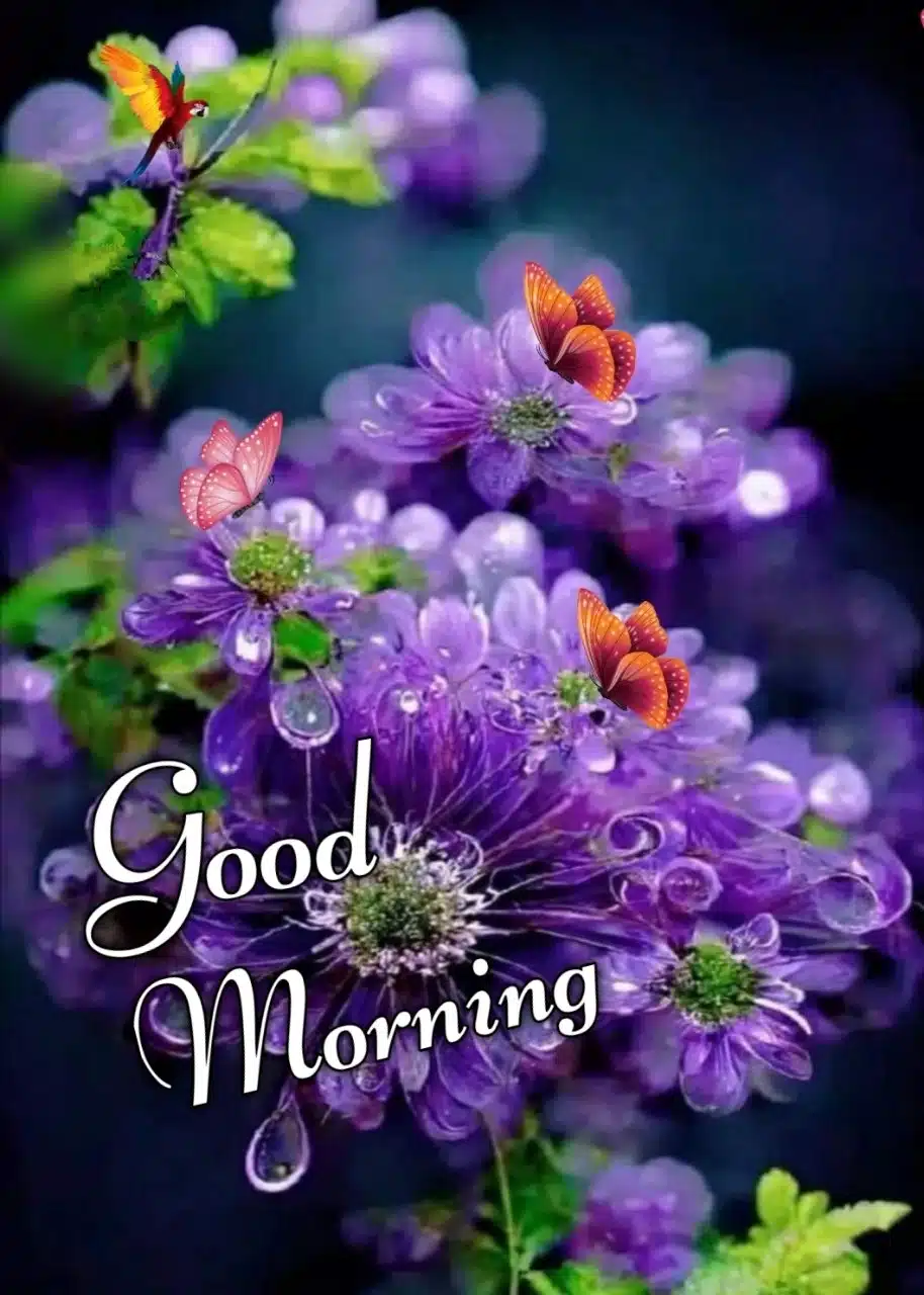 Good Morning Flowers Marathi