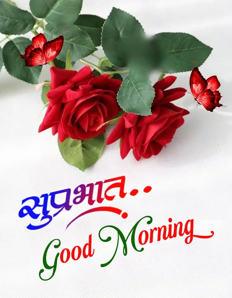 Shubh Sakal Flower