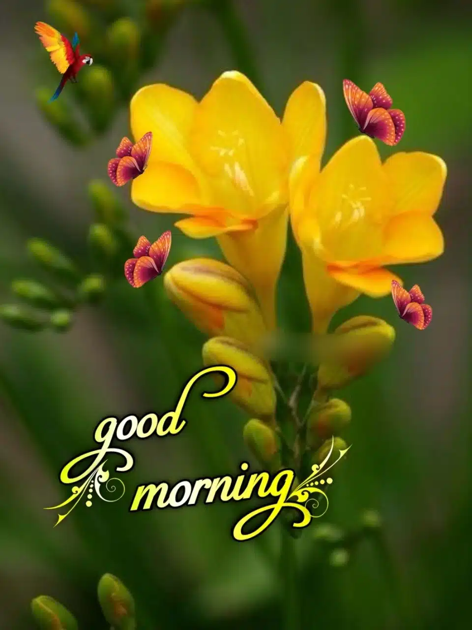 Good Morning Flowers Images In Marathi