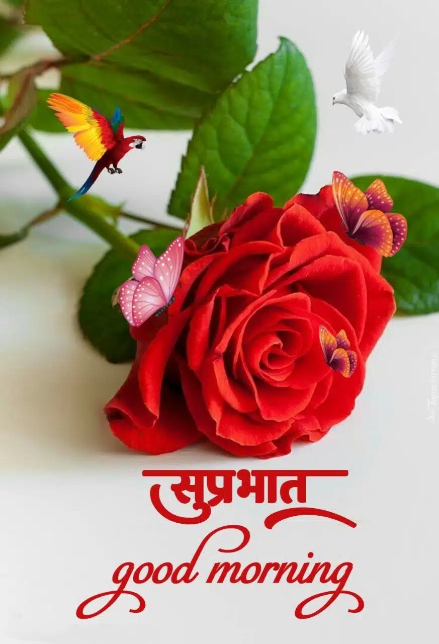 Good Morning Flowers Marathi