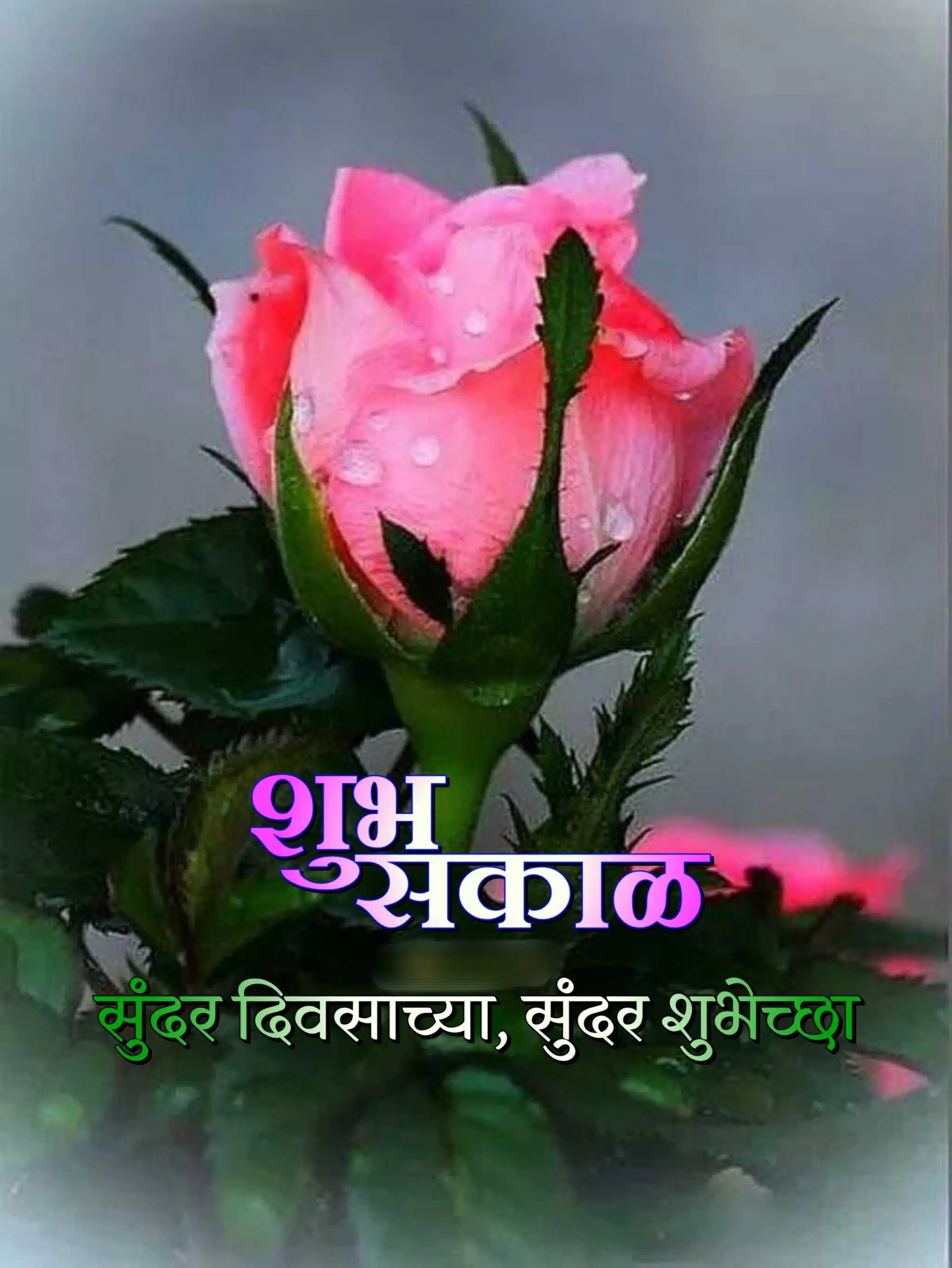 Shubh Sakal Flower