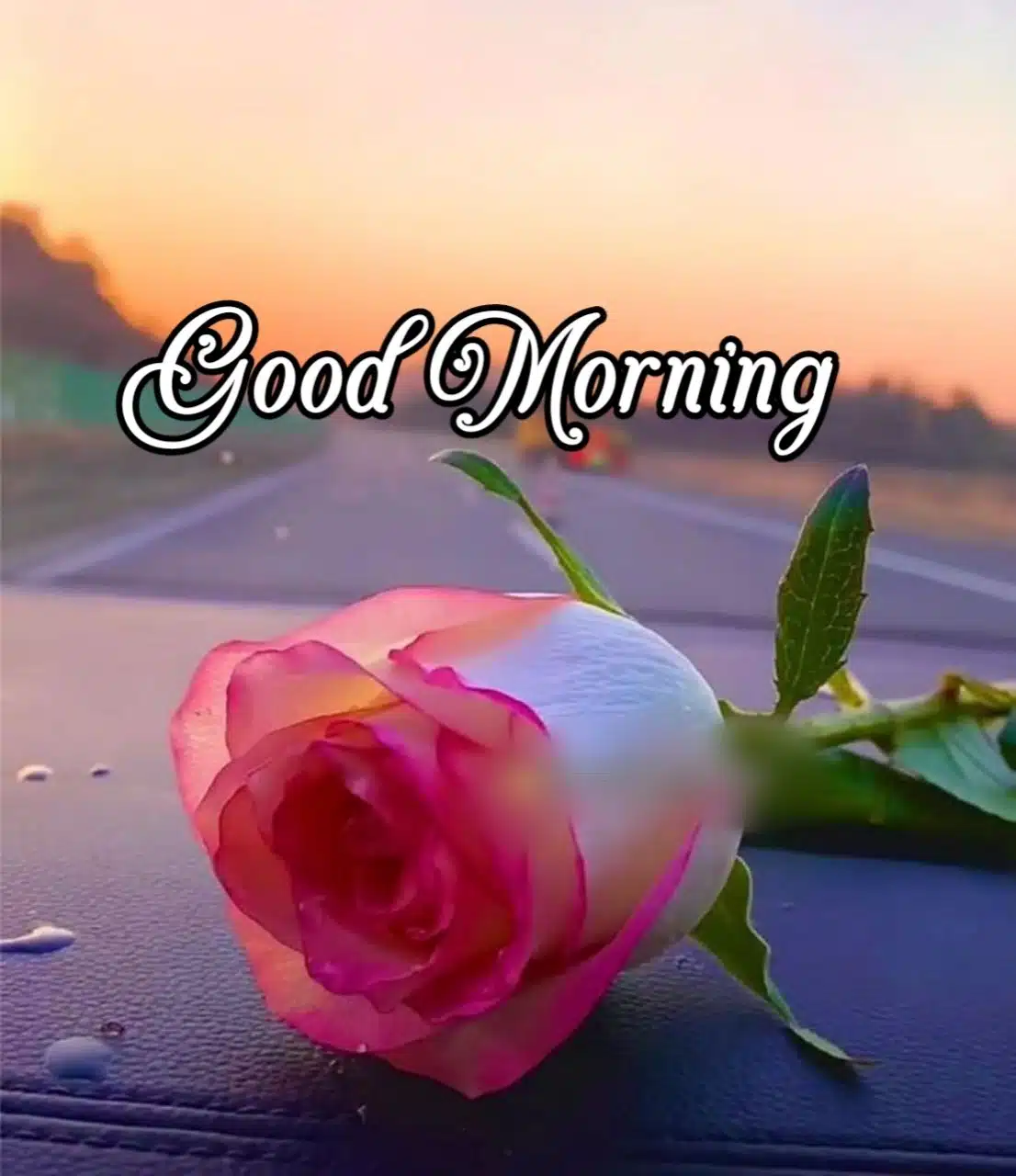 Good Morning Flowers Images In Marathi