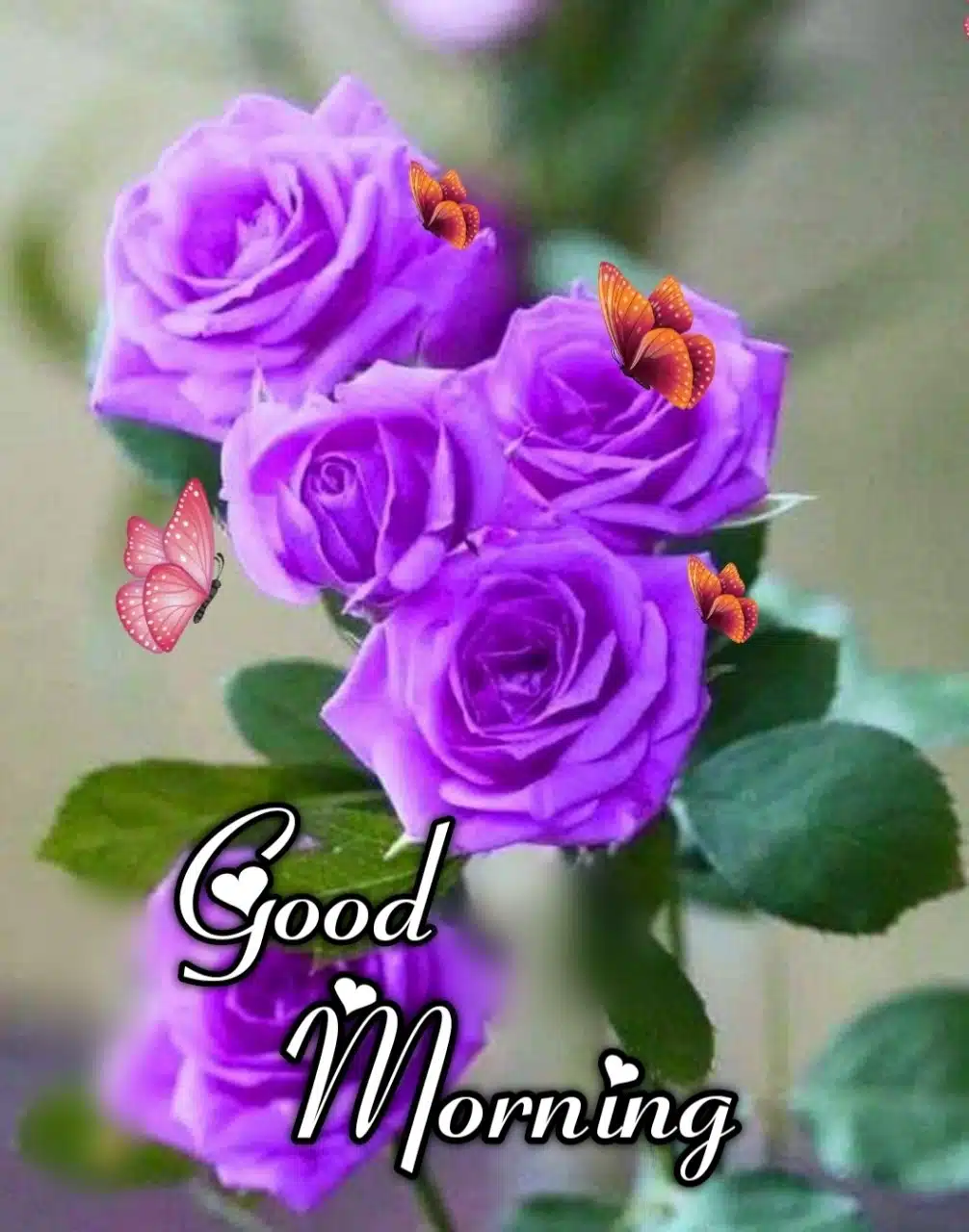 Good Morning Flowers Images In Marathi