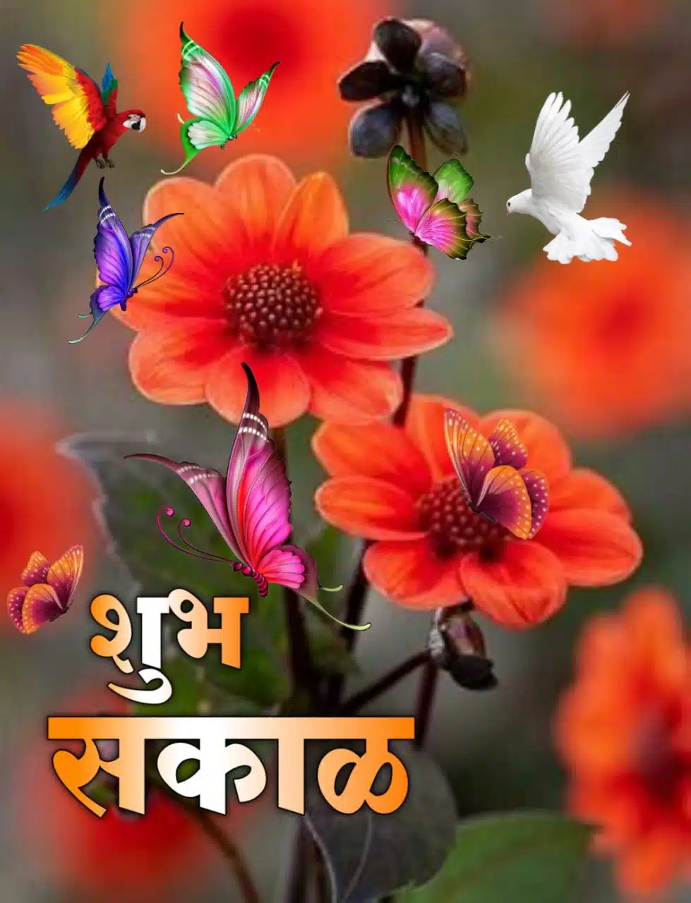 Flowers शुभ सकाळ