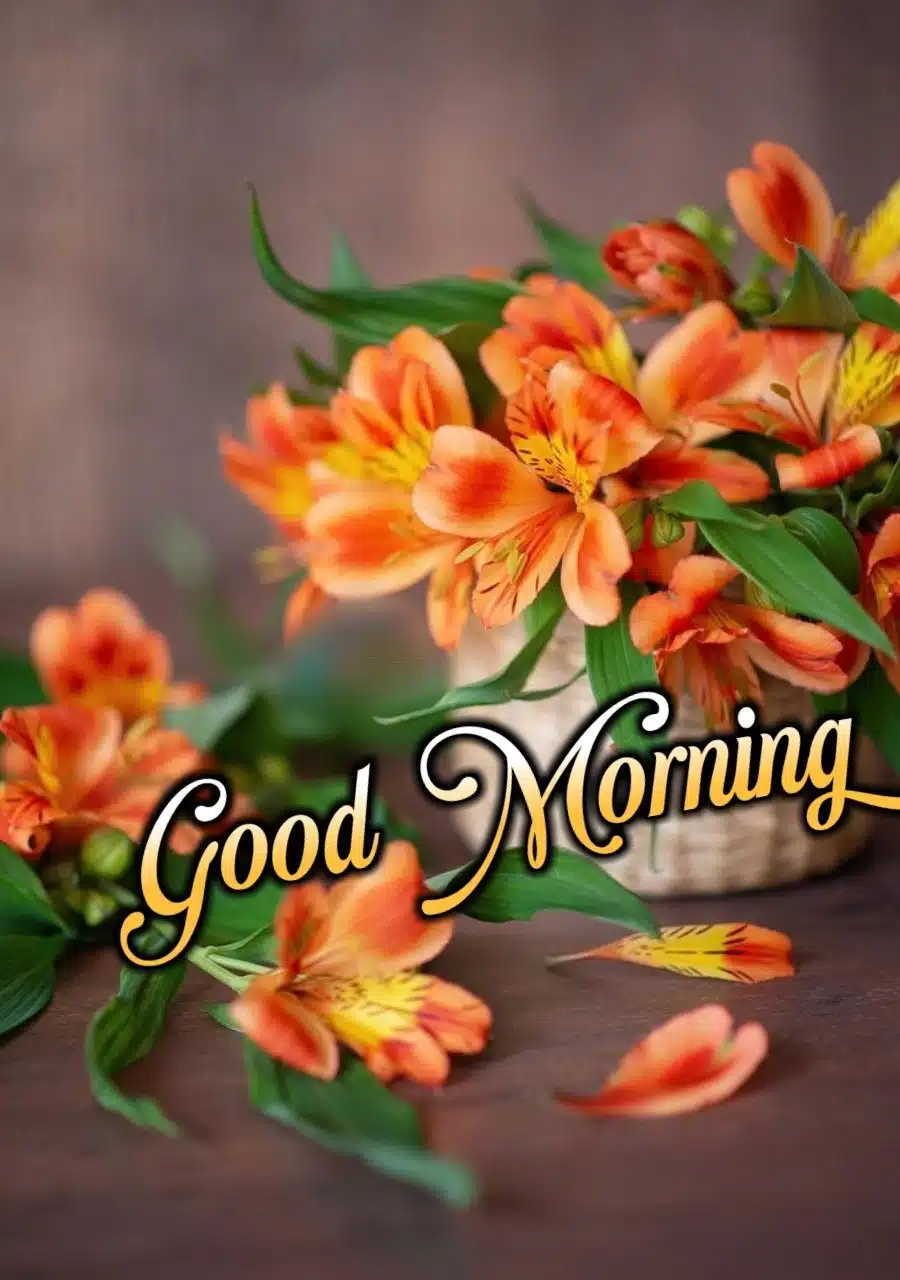 Good Morning Flowers Images In Marathi