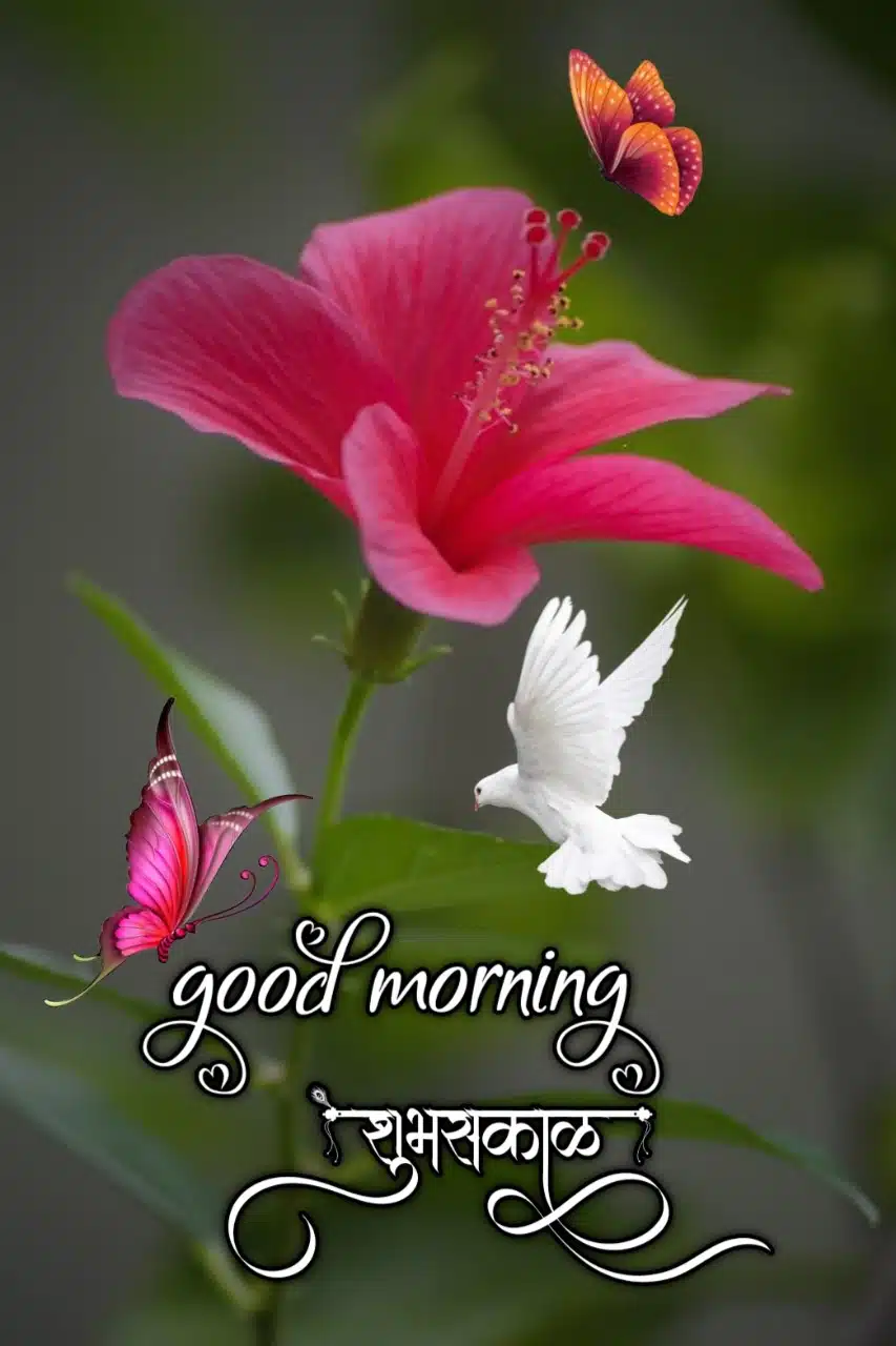 Good Morning Shubh Sakal Flower Images