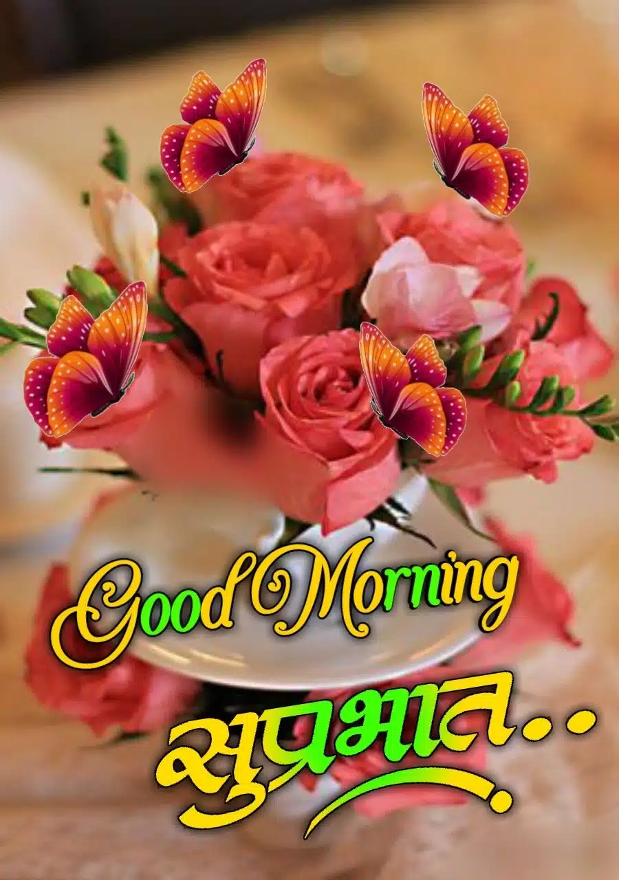 suprabhat flower images