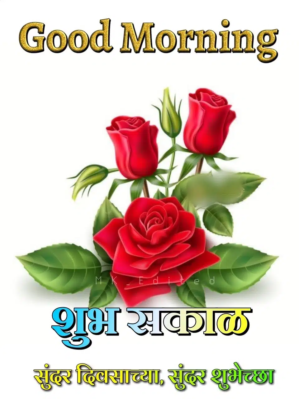 Good morning rose images