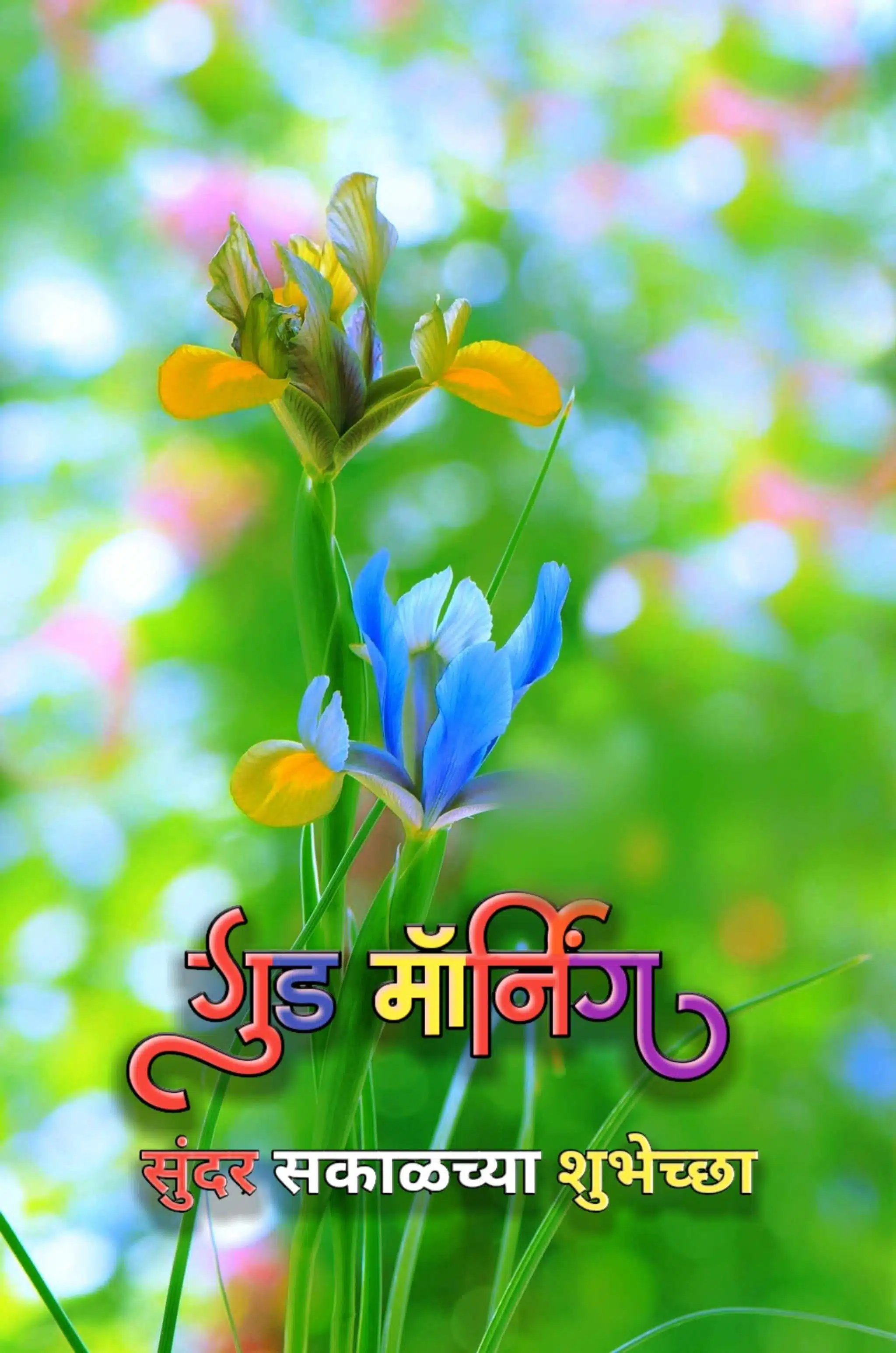 Good Morning Flowers Marathi