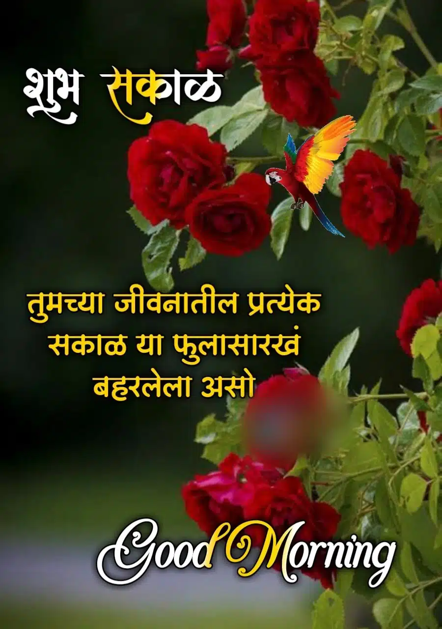 Flowers शुभ सकाळ