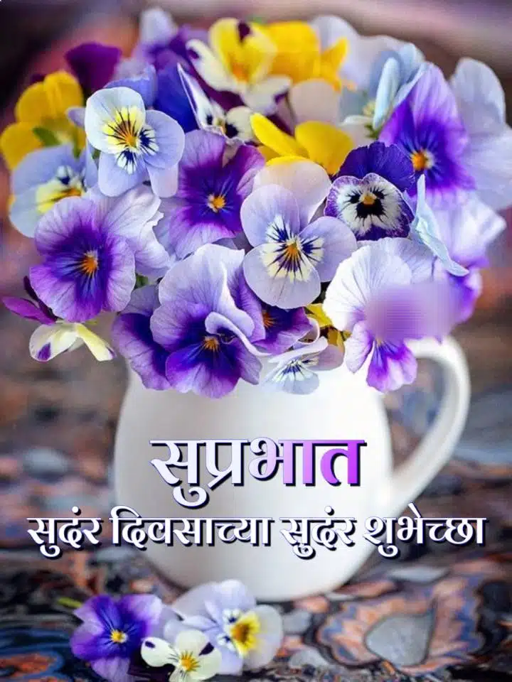 suprabhat flower