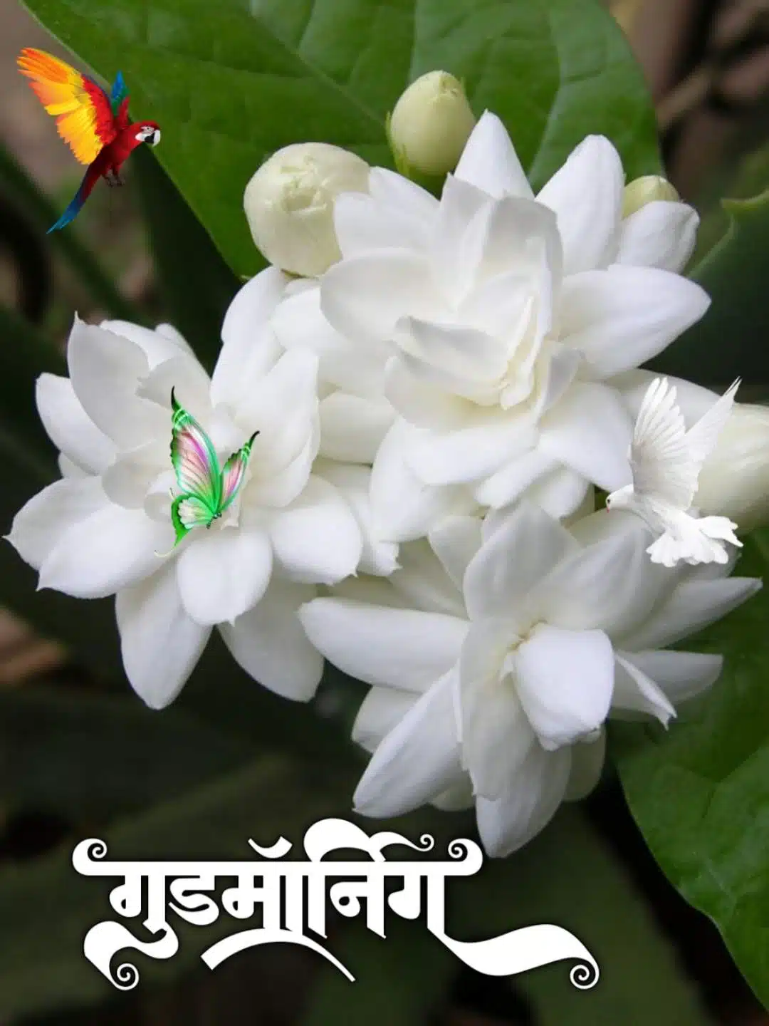 Good Morning Flowers Marathi