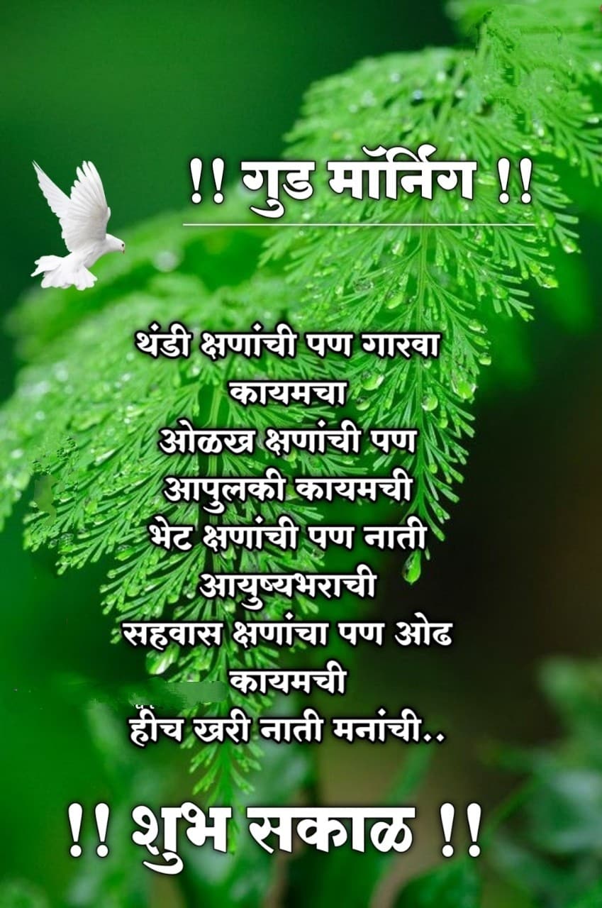 good morning relationship quotes marathi