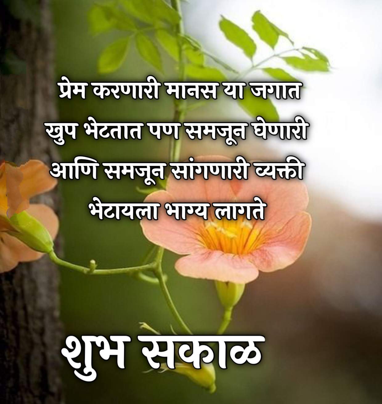 love relationship good morning message in marathi