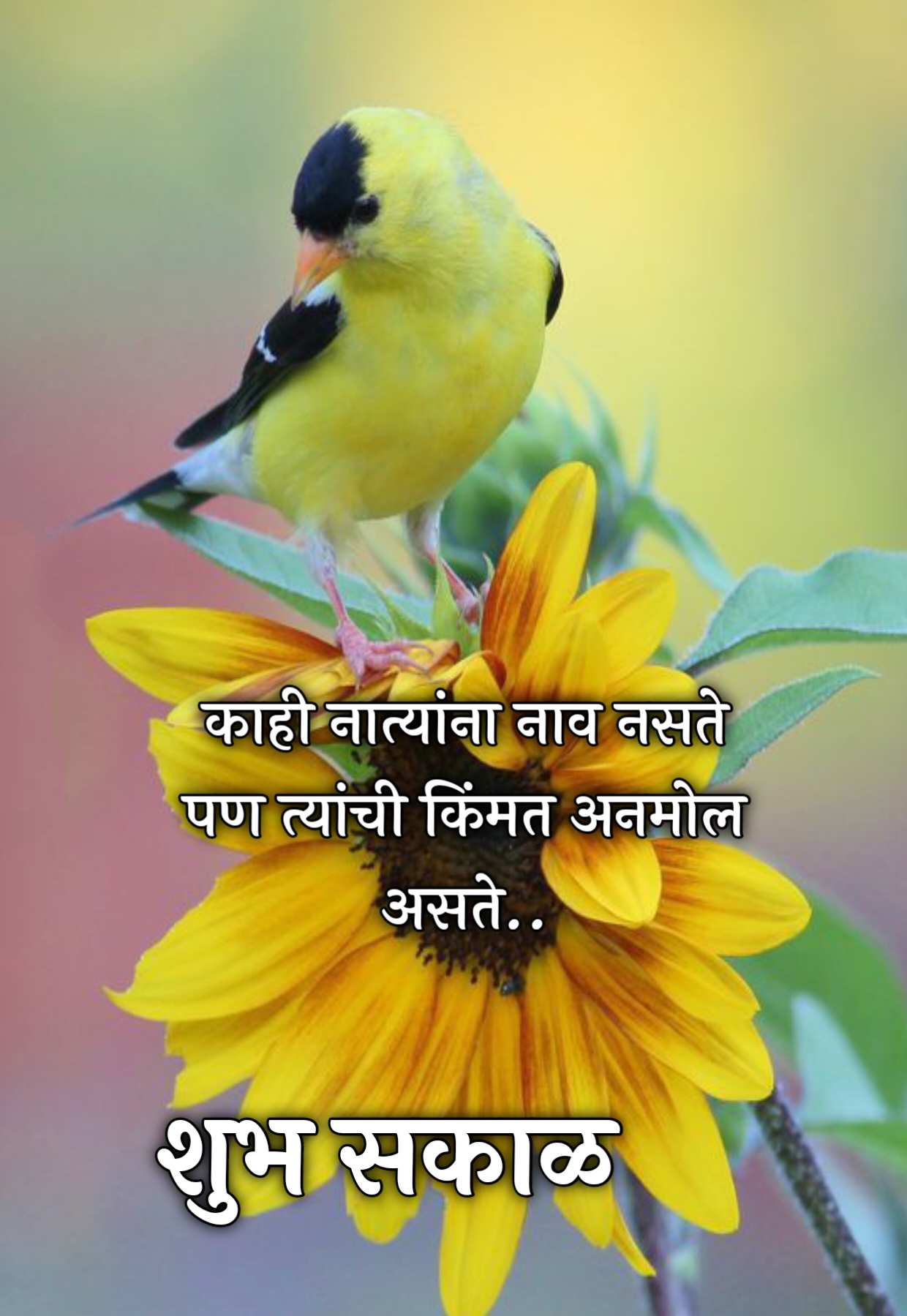 love relationship good morning message in marathi