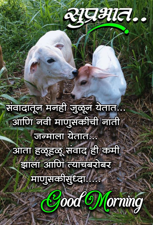 Good Morning Relationship Quotes In Marathi