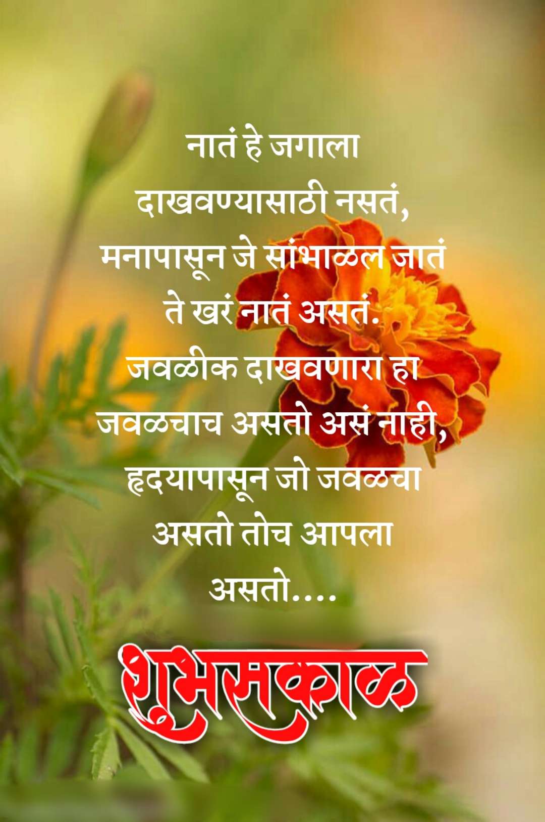 Relationship Good Morning Message In Marathi