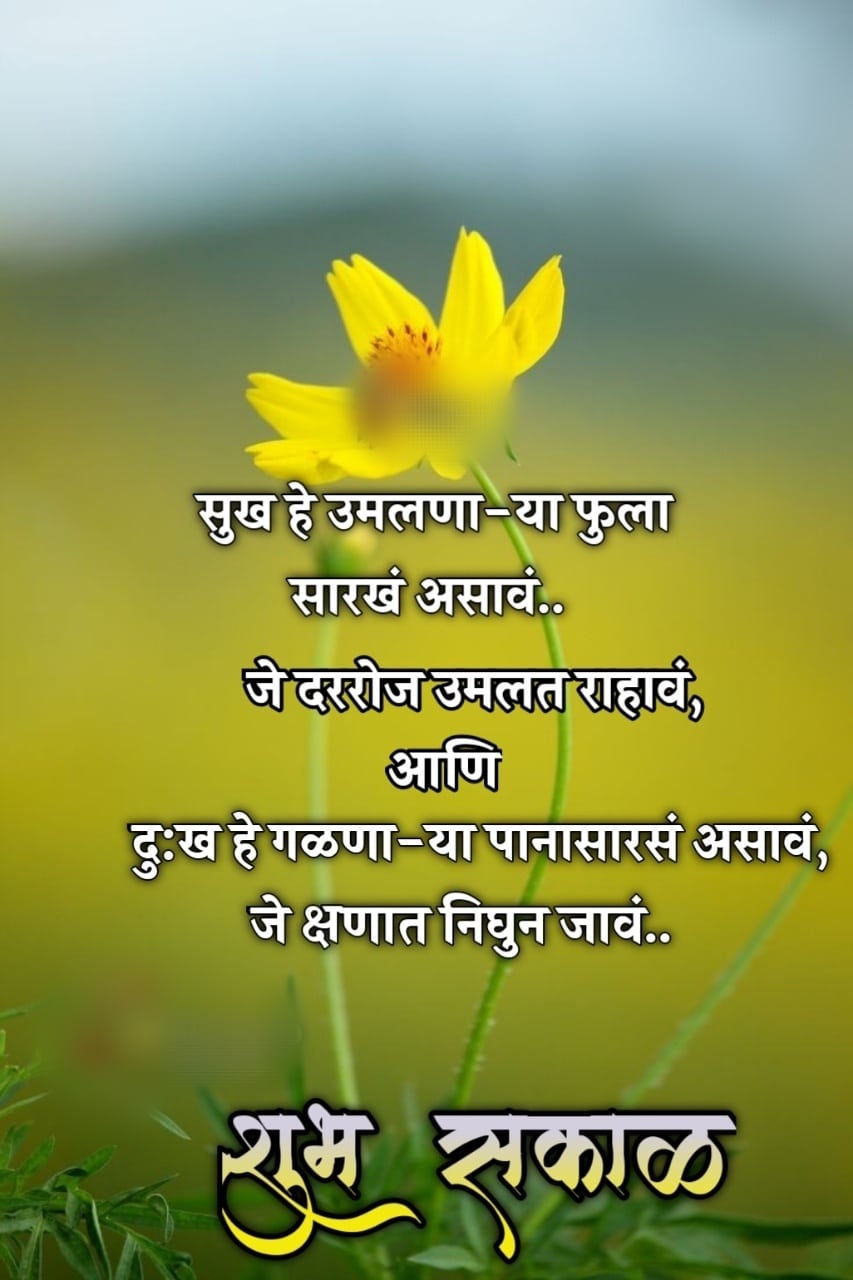 Life Good Morning Quotes In Marathi