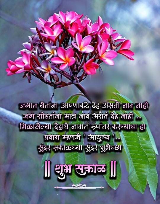 Good Morning Life Quotes In Marathi