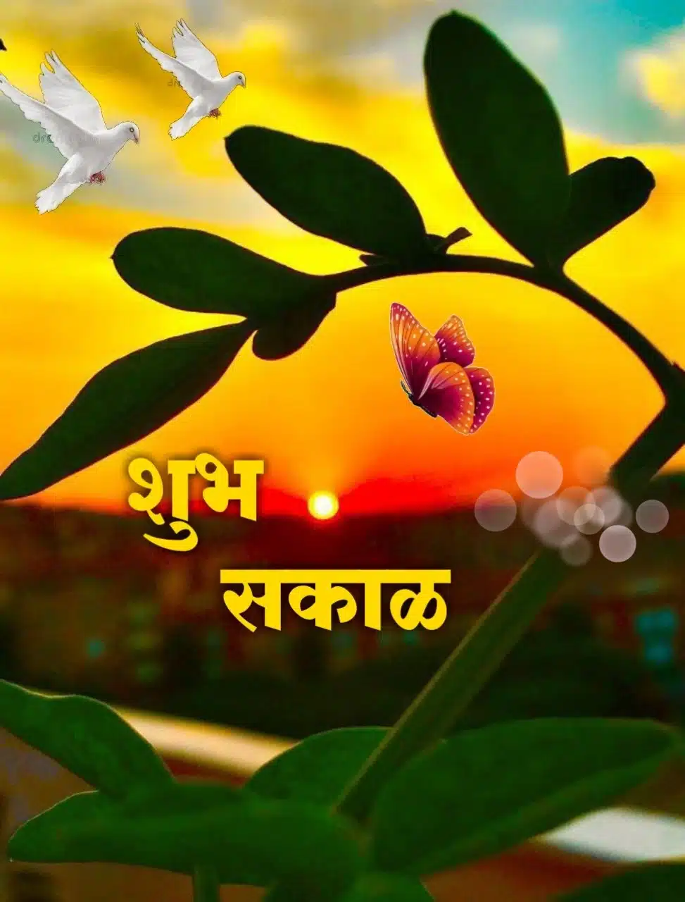 Shubh Sakal Nature Images, Shubh Sakal Nature Good Morning Marathi