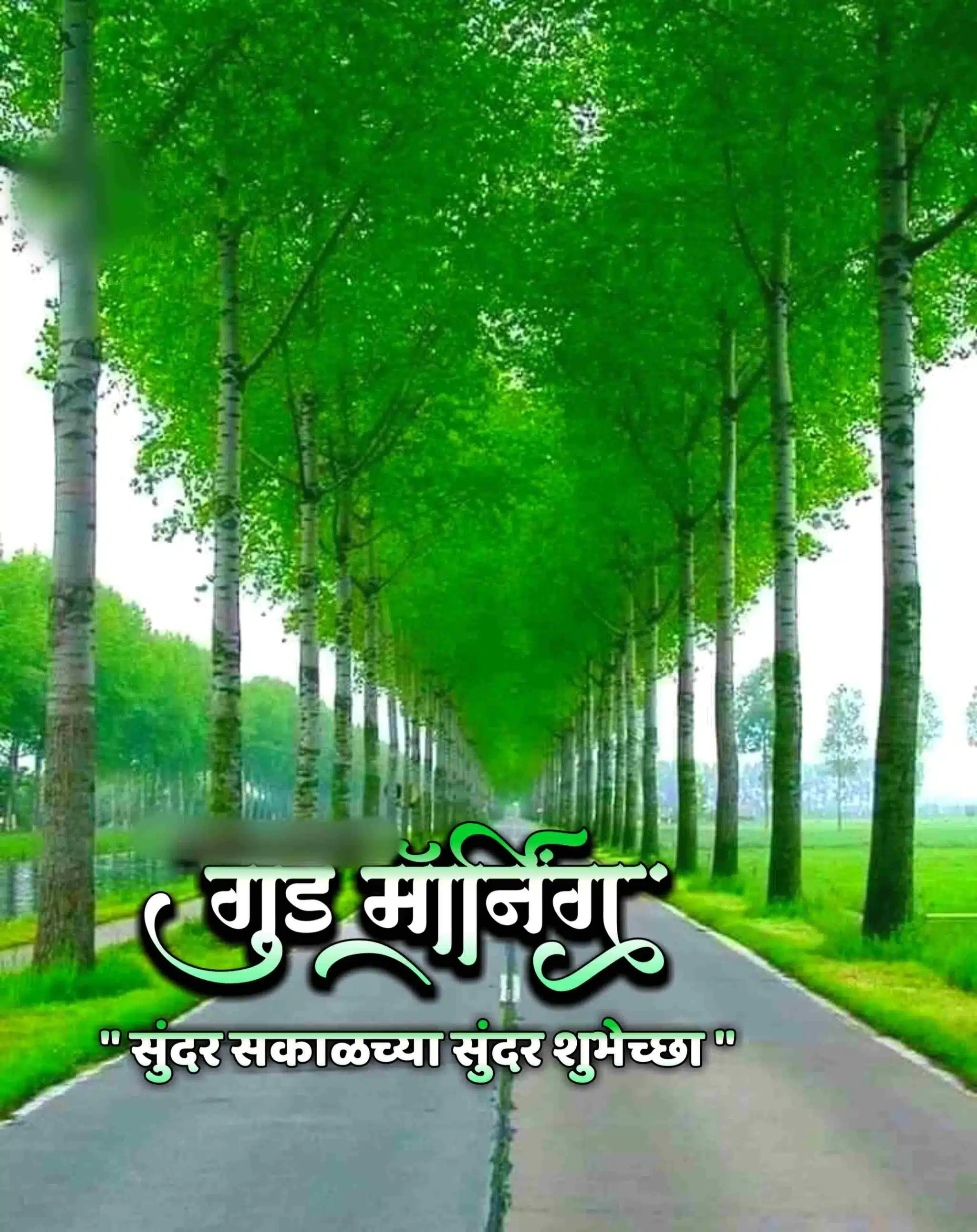 Nature good Morning Marathi