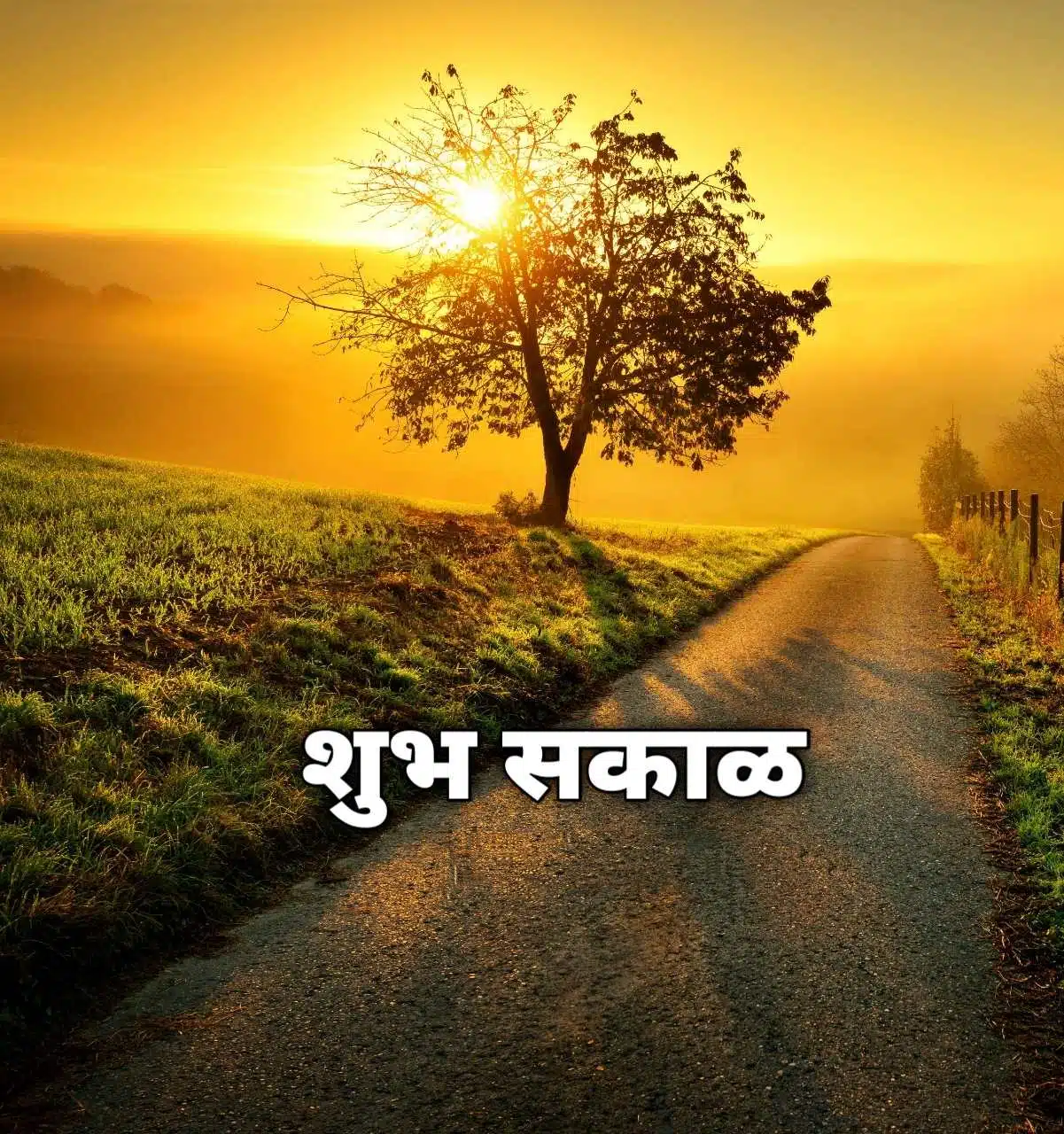 Shubh Sakal Nature Images