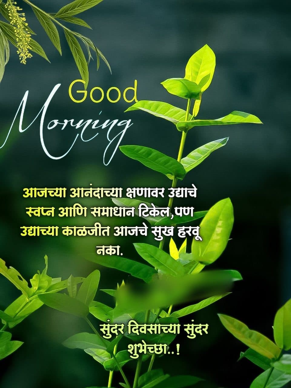 Positive Good Morning Quotes In Marathi With Images